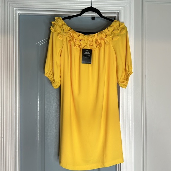 Brand new Boston Proper 3d Floral Bubble Sleeve Shift Dress! Never worn - Picture 7 of 9